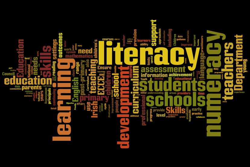 What Is Numeracy And Literacy In Education